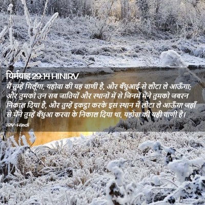 Picture 02 - यिर्मयाह 29:14 HINIRV - मैं तुम्हें - Bible Verse Picture