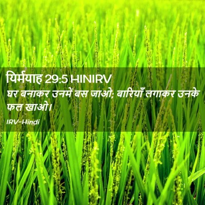 Picture 02 - यिर्मयाह 29:5 HINIRV - घर बनाकर उनमें बस - Bible Verse Picture
