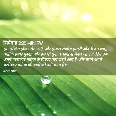 Picture 02 - यिर्मयाह 3:25 HINIRV - हम लज्जित होकर लेट - Bible Verse Picture