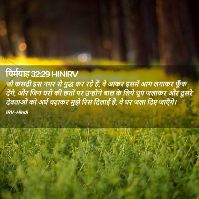 Picture 02 - यिर्मयाह 32:29 HINIRV - जो कसदी इस नगर से - Bible Verse Picture