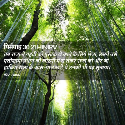 Picture 02 - यिर्मयाह 36:21 HINIRV - तब राजा ने यहूदी को - Bible Verse Picture