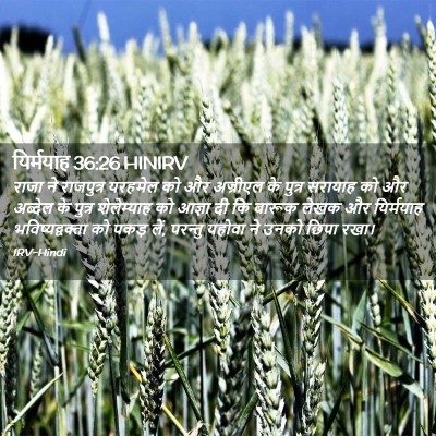Picture 02 - यिर्मयाह 36:26 HINIRV - राजा ने राजपुत्र - Bible Verse Picture