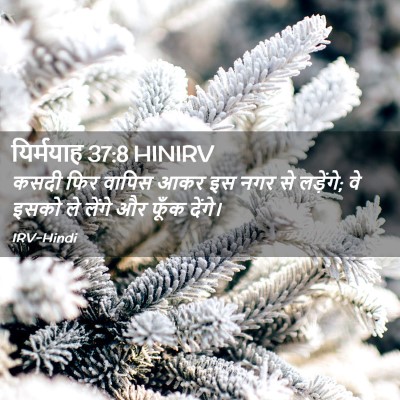Picture 02 - यिर्मयाह 37:8 HINIRV - कसदी फिर वापिस आकर - Bible Verse Picture
