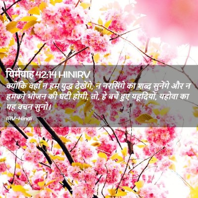 Picture 02 - यिर्मयाह 42:14 HINIRV - क्योंकि वहाँ न हम - Bible Verse Picture