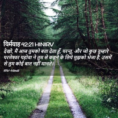 Picture 02 - यिर्मयाह 42:21 HINIRV - देखो, मैं आज तुमको - Bible Verse Picture