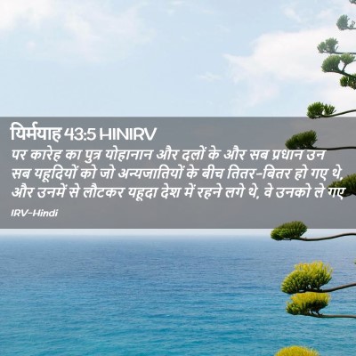 Picture 02 - यिर्मयाह 43:5 HINIRV - पर कारेह का पुत्र - Bible Verse Picture