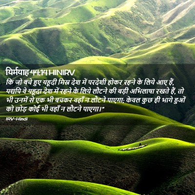 Picture 02 - यिर्मयाह 44:14 HINIRV - कि जो बचे हुए यहूदी - Bible Verse Picture
