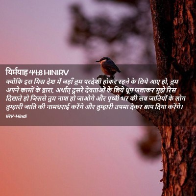 Picture 02 - यिर्मयाह 44:8 HINIRV - क्योंकि इस मिस्र - Bible Verse Picture