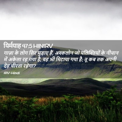 Picture 02 - यिर्मयाह 47:5 HINIRV - गाज़ा के लोग सिर - Bible Verse Picture