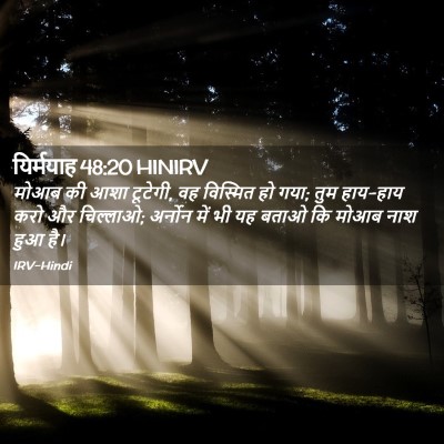 Picture 02 - यिर्मयाह 48:20 HINIRV - मोआब की आशा टूटेगी, - Bible Verse Picture