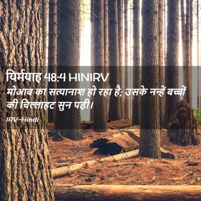 Picture 02 - यिर्मयाह 48:4 HINIRV - मोआब का सत्यानाश - Bible Verse Picture