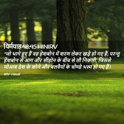 Picture 02 - यिर्मयाह 48:45 HINIRV - “जो भागे हुए हैं वह - Bible Verse Picture