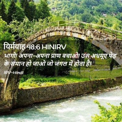Picture 02 - यिर्मयाह 48:6 HINIRV - भागो! अपना-अपना - Bible Verse Picture
