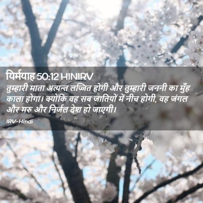 Picture 02 - यिर्मयाह 50:12 HINIRV - तुम्हारी माता - Bible Verse Picture