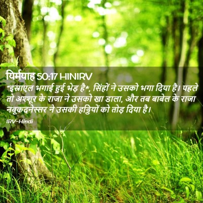 Picture 02 - यिर्मयाह 50:17 HINIRV - “इस्राएल भगाई हुई - Bible Verse Picture