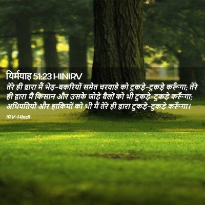 Picture 02 - यिर्मयाह 51:23 HINIRV - तेरे ही द्वारा मैं - Bible Verse Picture
