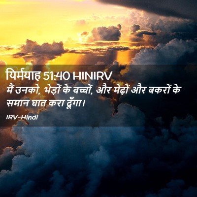Picture 02 - यिर्मयाह 51:40 HINIRV - मैं उनको, भेड़ों के - Bible Verse Picture