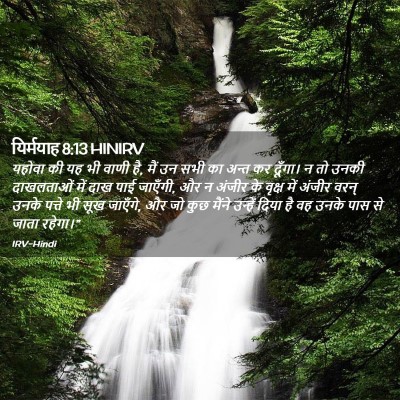 Picture 02 - यिर्मयाह 8:13 HINIRV - यहोवा की यह भी वाणी - Bible Verse Picture