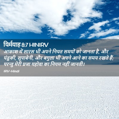 Picture 02 - यिर्मयाह 8:7 HINIRV - आकाश में सारस भी - Bible Verse Picture