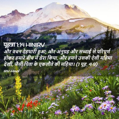 Picture 02 - यूहन्ना 1:14 HINIRV - और वचन देहधारी हुआ; - Bible Verse Picture