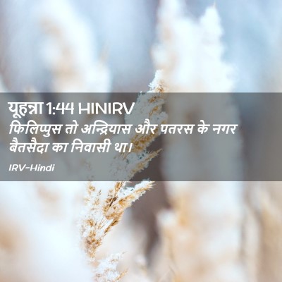 Picture 02 - यूहन्ना 1:44 HINIRV - फिलिप्पुस तो - Bible Verse Picture