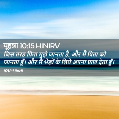 Picture 02 - यूहन्ना 10:15 HINIRV - जिस तरह पिता मुझे - Bible Verse Picture