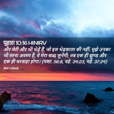 Picture 02 - यूहन्ना 10:16 HINIRV - और मेरी और भी - Bible Verse Picture