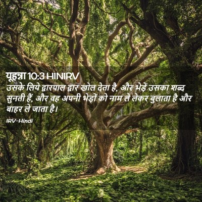 Picture 02 - यूहन्ना 10:3 HINIRV - उसके लिये - Bible Verse Picture