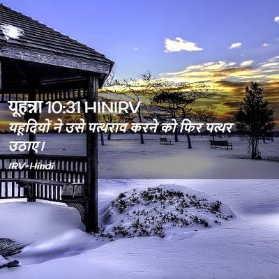 Picture 02 - यूहन्ना 10:31 HINIRV - यहूदियों ने उसे - Bible Verse Picture