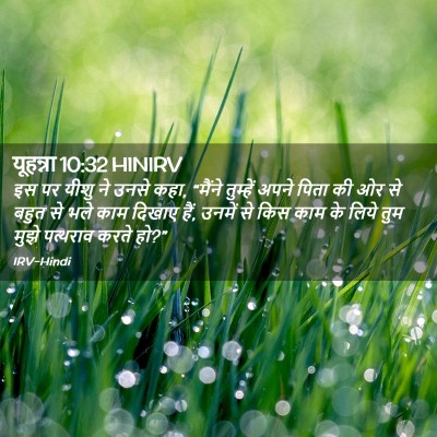Picture 02 - यूहन्ना 10:32 HINIRV - इस पर यीशु ने उनसे - Bible Verse Picture