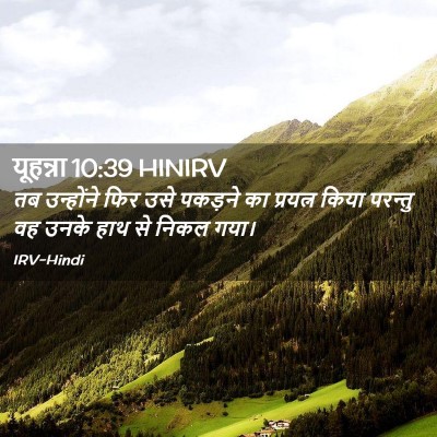 Picture 02 - यूहन्ना 10:39 HINIRV - तब उन्होंने फिर - Bible Verse Picture