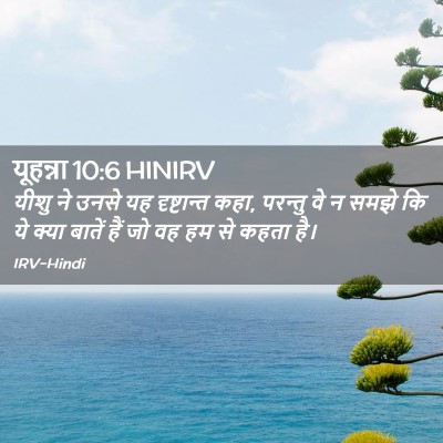Picture 02 - यूहन्ना 10:6 HINIRV - यीशु ने उनसे यह - Bible Verse Picture