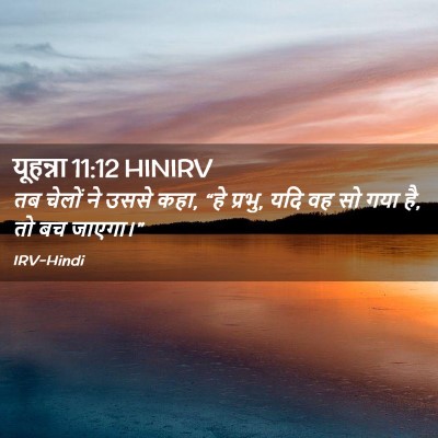 Picture 02 - यूहन्ना 11:12 HINIRV - तब चेलों ने उससे - Bible Verse Picture