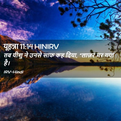 Picture 02 - यूहन्ना 11:14 HINIRV - तब यीशु ने उनसे साफ - Bible Verse Picture