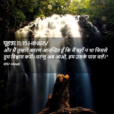 Picture 02 - यूहन्ना 11:15 HINIRV - और मैं तुम्हारे - Bible Verse Picture