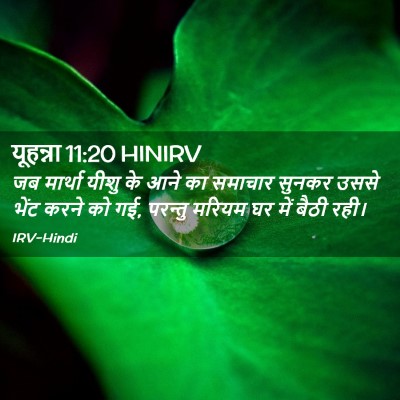 Picture 02 - यूहन्ना 11:20 HINIRV - जब मार्था यीशु के - Bible Verse Picture