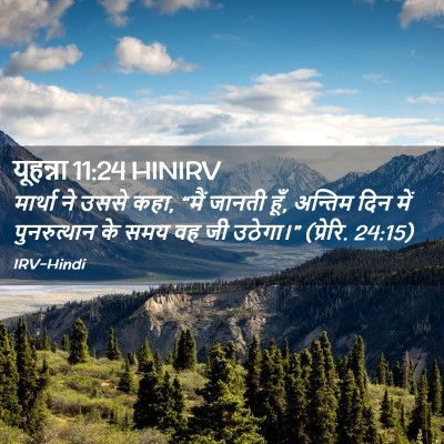 Picture 02 - यूहन्ना 11:24 HINIRV - मार्था ने उससे कहा, - Bible Verse Picture