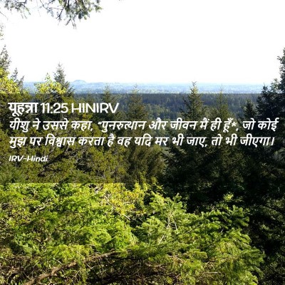 Picture 02 - यूहन्ना 11:25 HINIRV - यीशु ने उससे कहा, - Bible Verse Picture