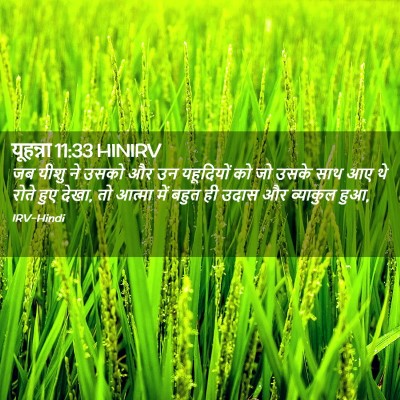 Picture 02 - यूहन्ना 11:33 HINIRV - जब यीशु ने उसको और - Bible Verse Picture