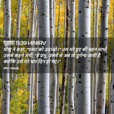 Picture 02 - यूहन्ना 11:39 HINIRV - यीशु ने कहा, “पत्थर - Bible Verse Picture