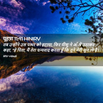 Picture 02 - यूहन्ना 11:41 HINIRV - तब उन्होंने उस - Bible Verse Picture