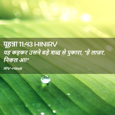 Picture 02 - यूहन्ना 11:43 HINIRV - यह कहकर उसने बड़े - Bible Verse Picture
