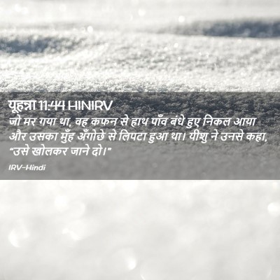 Picture 02 - यूहन्ना 11:44 HINIRV - जो मर गया था, वह कफन - Bible Verse Picture