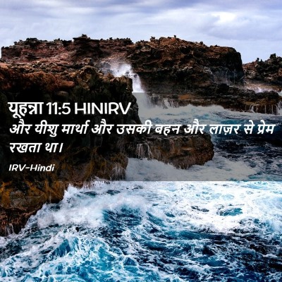 Picture 02 - यूहन्ना 11:5 HINIRV - और यीशु मार्था और - Bible Verse Picture