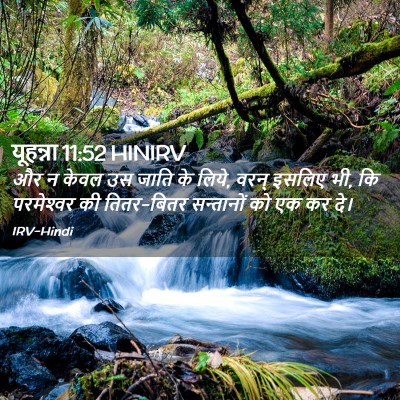 Picture 02 - यूहन्ना 11:52 HINIRV - और न केवल उस जाति - Bible Verse Picture