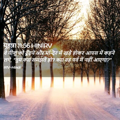 Picture 02 - यूहन्ना 11:56 HINIRV - वे यीशु को ढूँढ़ने - Bible Verse Picture
