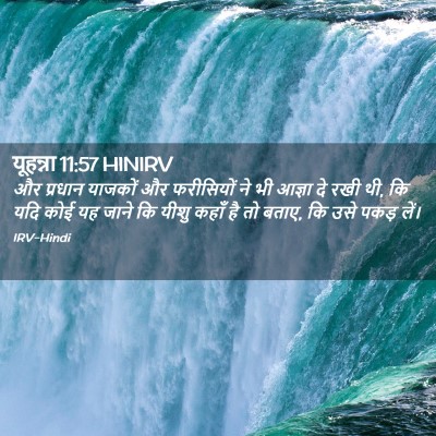Picture 02 - यूहन्ना 11:57 HINIRV - और प्रधान याजकों - Bible Verse Picture