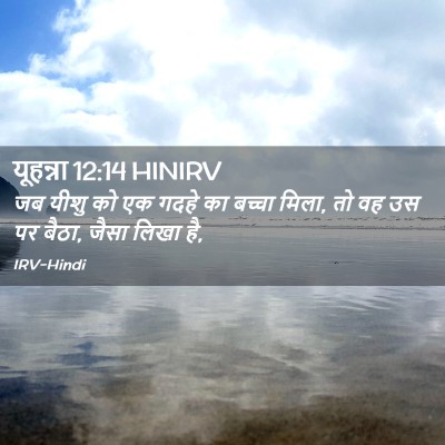 Picture 02 - यूहन्ना 12:14 HINIRV - जब यीशु को एक गदहे - Bible Verse Picture