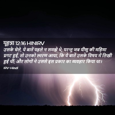 Picture 02 - यूहन्ना 12:16 HINIRV - उसके चेले, ये बातें - Bible Verse Picture