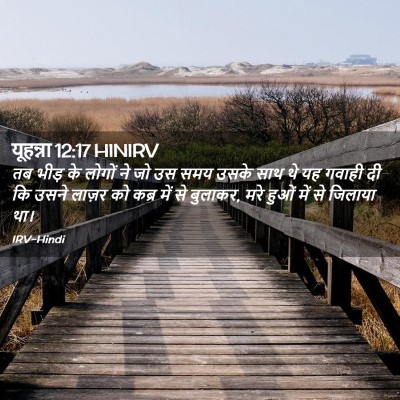 Picture 02 - यूहन्ना 12:17 HINIRV - तब भीड़ के लोगों ने - Bible Verse Picture